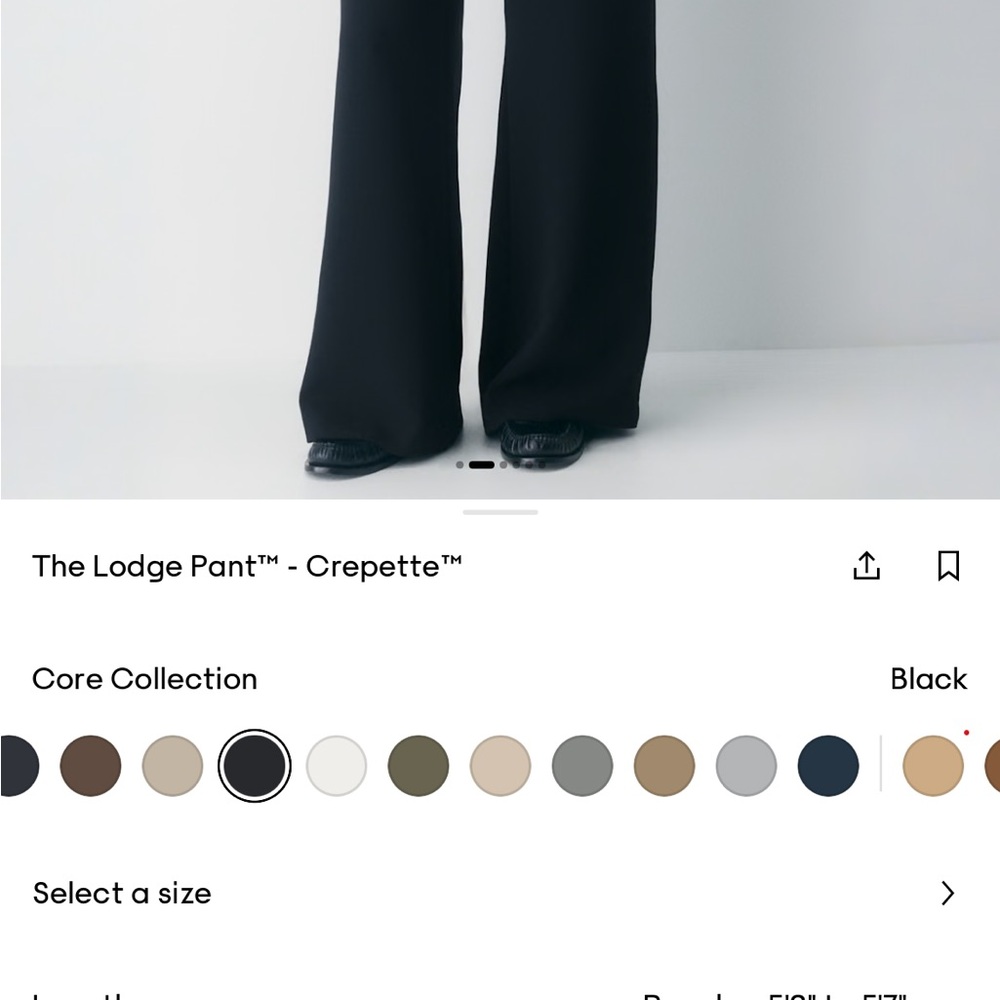 Aritzia Black Wide Leg Pants